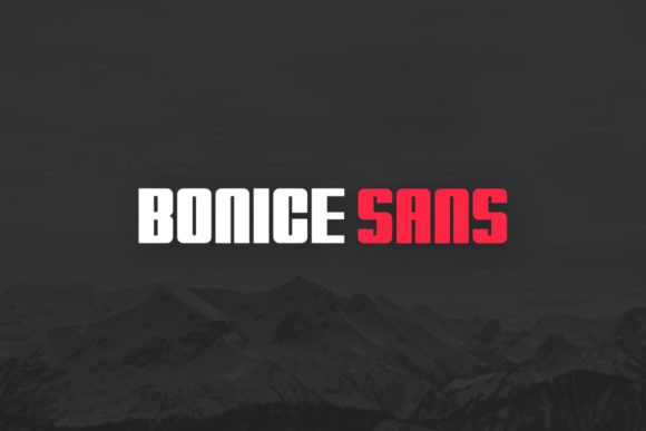 How Bonice Transformed My Brand’s Visual Identity