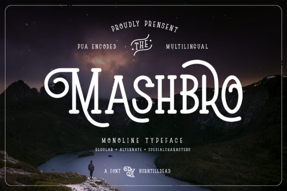 How Mashbro Transformed My Brand’s Visual Identity